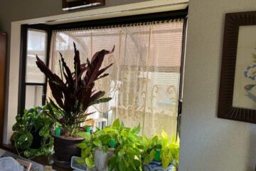 Before画像