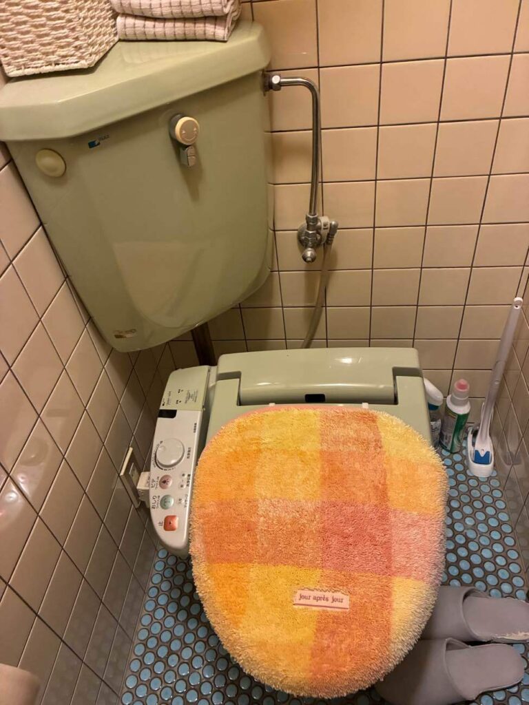 リフォーム前のトイレ1