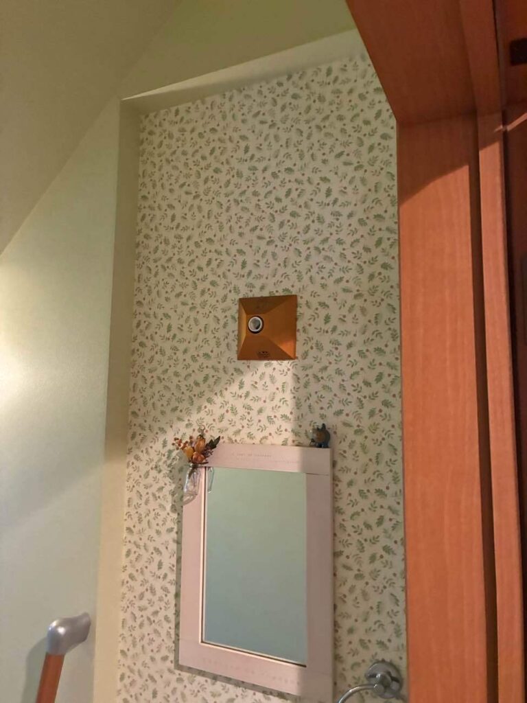 リフォーム前のトイレ３