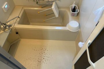 Before画像